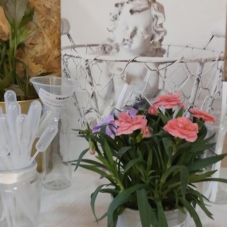 Le Laboratoire Shabby Chic De La Parfumerie Du Manoir Chavagne Exteriör bild